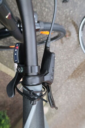 Citybike TREK Dual Sport 2