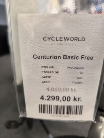 Mountainbike CENTURION Basic Free