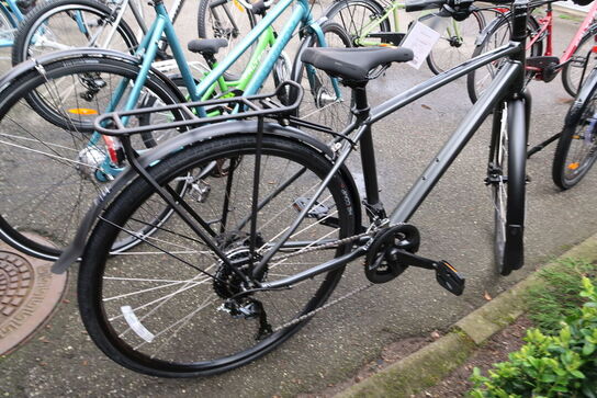 Citybike TREK FX 2 DISC EQ
