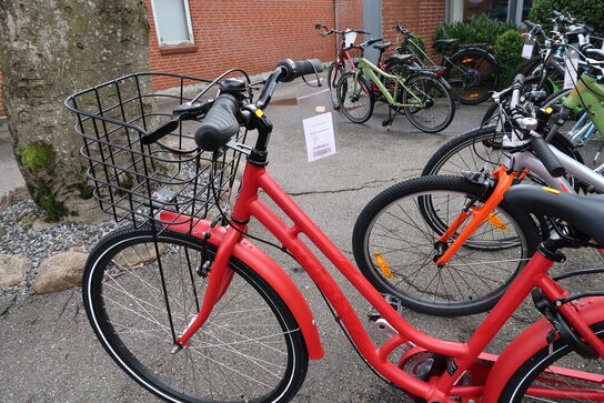 Citybike WINTHER 250 Granny