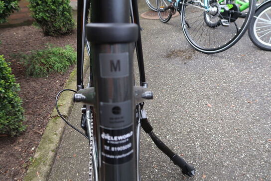 Citybike TREK Dual Sport 2