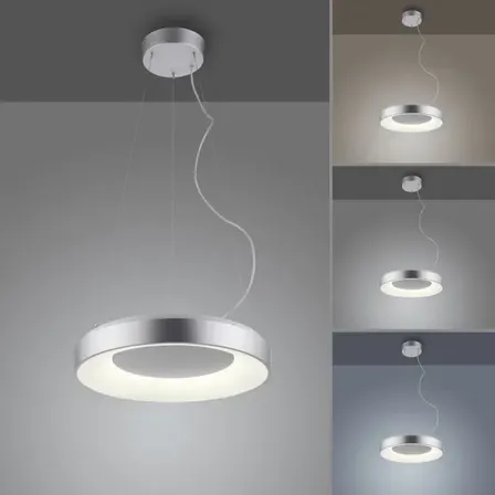Paul neuhaus led pendel app/remote 48 cm(ubrugt)