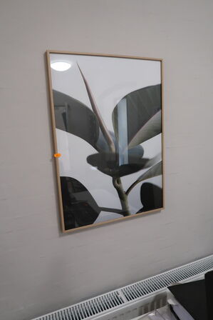 Plakat, reol med indhold, div. Billeder, kurve m.m.