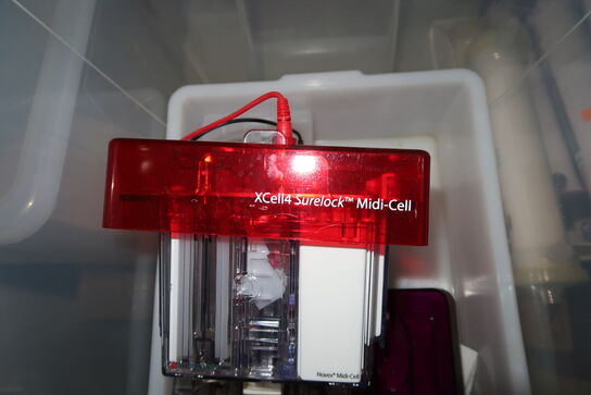 Xcell 4 Surelock Midi-Cell INVITROGEN