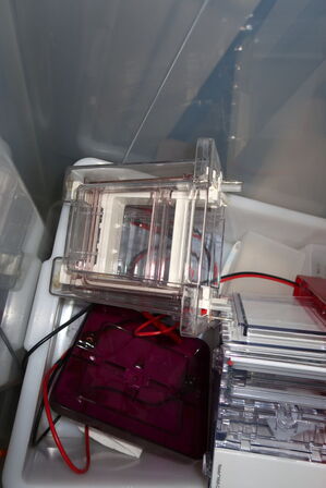 Xcell 4 Surelock Midi-Cell INVITROGEN