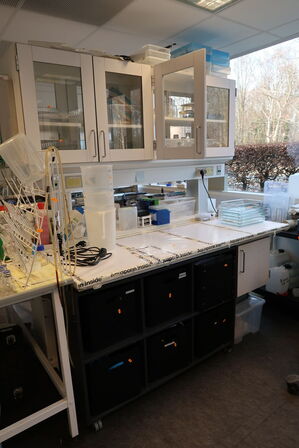 Arbejdsbord med el. hæve/sænke funktion, strømudtag, luftsystem ARMALAB m.m. uden indhold