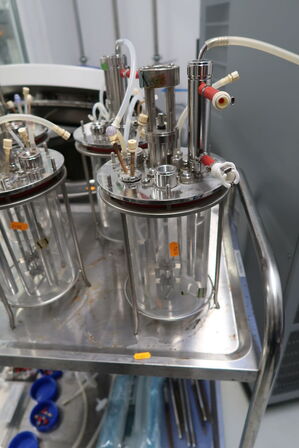 Bioreactor APPLIKON BIOTECHNOLOGY