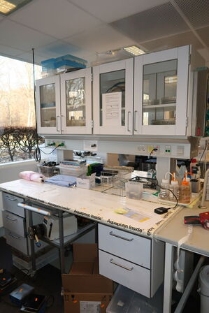 Arbejdsbord med el. hæve/sænke funktion, strømudtag, luftsystem ARMALAB m.m. uden indhold