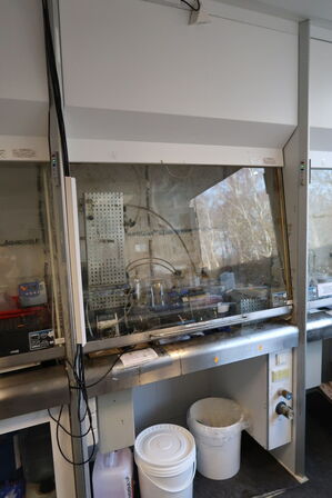 Stinkskab uden indhold