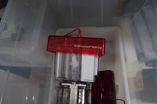 Xcell 4 Surelock Midi-Cell INVITROGEN