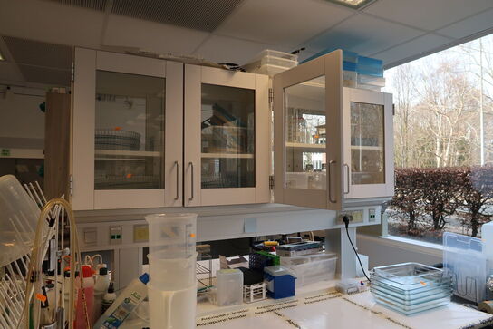 Arbejdsbord med el. hæve/sænke funktion, strømudtag, luftsystem ARMALAB m.m. uden indhold