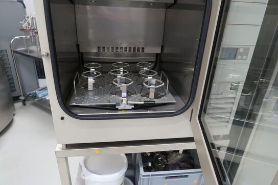 Shaker Incubator LAB-THERM LT-X KuhnerShaker X