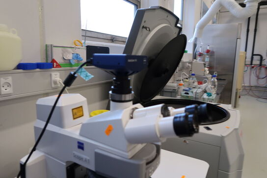 Laboratorie mikroskop CARL ZEISS Axio Scope A1, AxioCam MRc