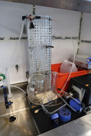 Temperatur controller CLIFTON NE4-D