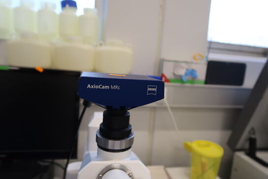 Laboratorie mikroskop CARL ZEISS Axio Scope A1, AxioCam MRc