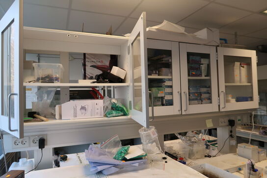 Div. Laboratorieudstyr, laboratorieglas, engangshandsker MICROFLEX m.m.