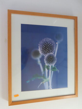 Div. billeder og kunst