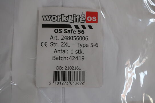 Div. malerdragter m.v.