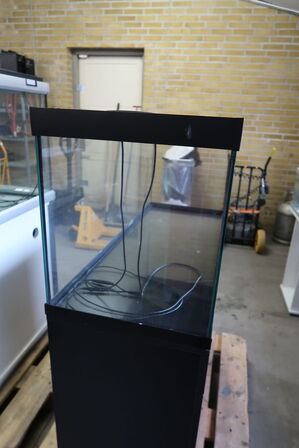 Akvarie AKVASTABIL Element 100x40x48cm (Udstillingsmodel)