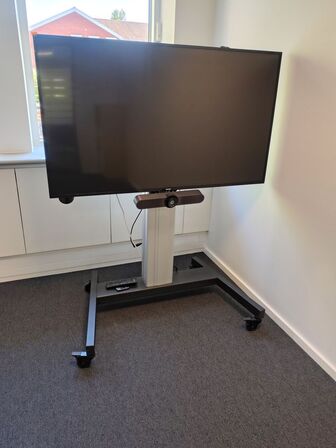 Mødeskærm med stativ  PHILIPS  55" 