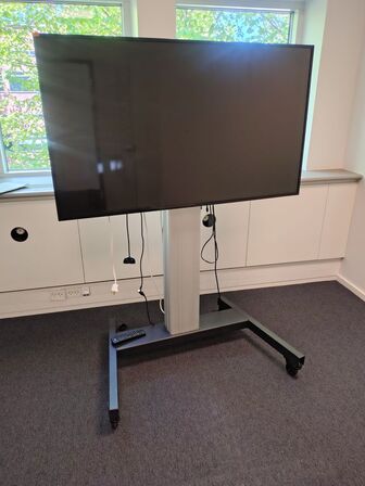 Mødeskærm med stativ  PHILIPS  55" 