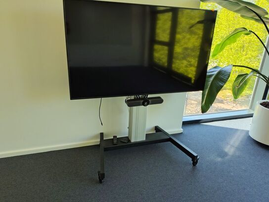 Mødeskærm med stativ SAMSUNG  65"