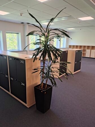 Plante i krukke