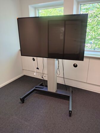 Mødeskærm med stativ  PHILIPS  55" 