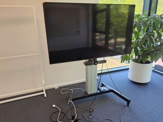 Mødeskærm med stativ SAMSUNG  65"