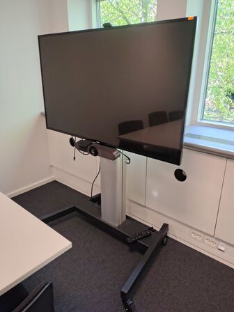Mødeskærm med stativ  PHILIPS  55" 