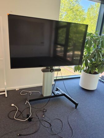Mødeskærm med stativ SAMSUNG  65"