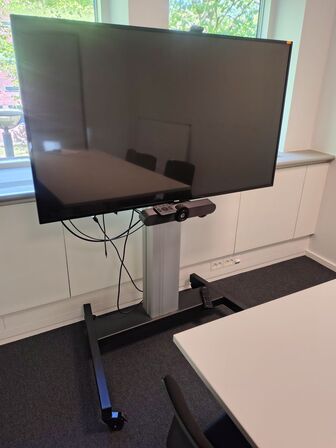 Mødeskærm med stativ  PHILIPS  55" 