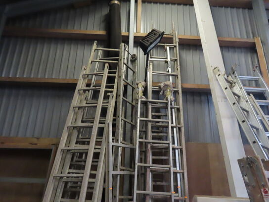 Stiger (alle på billederne)