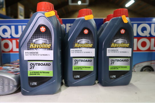 10 dunke olie HAVOLINE 2T 1L