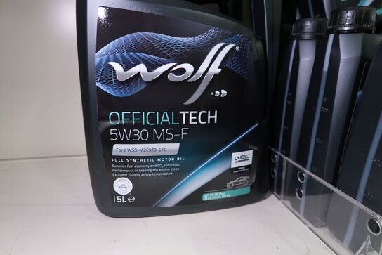 3 dunke olie 5W30 MS-F 5L