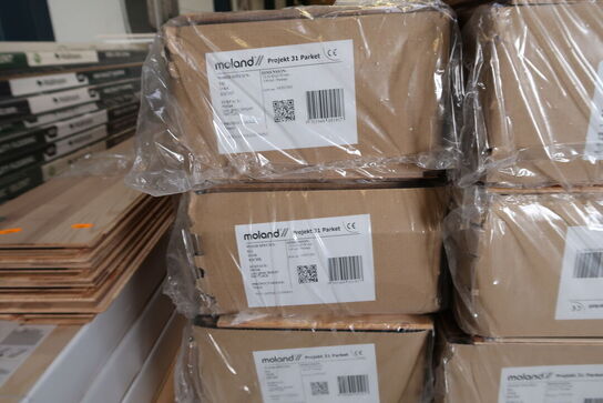 14 pakker gulv MOLAND Projekt 31 Parket