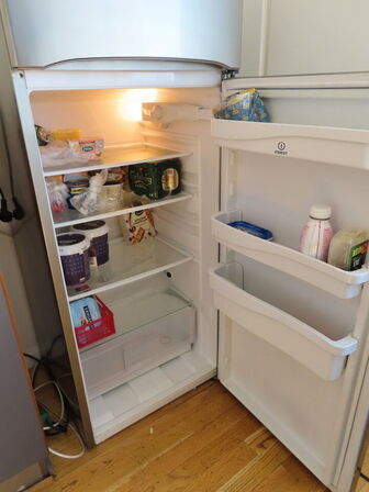 Køleskab m. fyser, Indesit DF02