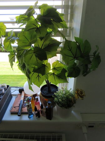 Div. pynt og kunstige planter