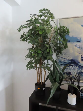 Div. pynt og kunstige planter og billed