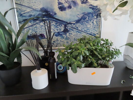 Div. pynt og kunstige planter og billed