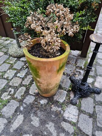 Krukke m. plante & fod til bord etc.
