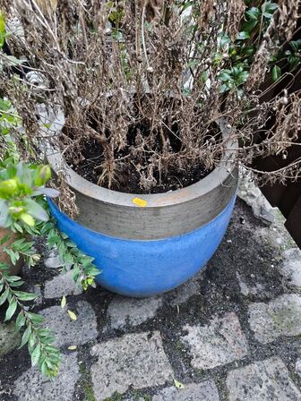 2 stk. krukker m. plante
