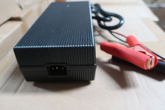 Lader GREEN ENERGY for 14.6v LiFePO4 Battery