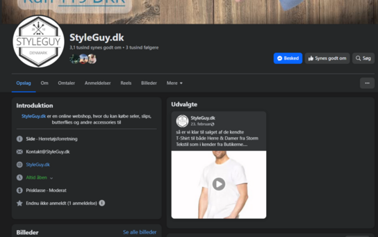 Styleguy.dk / komplet webshop inkl. hjemmeside, facebookside mv. (MOMSFRI)