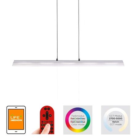 Paul neuhaus nele rgb langbordspendel m.remote(ubrugt)