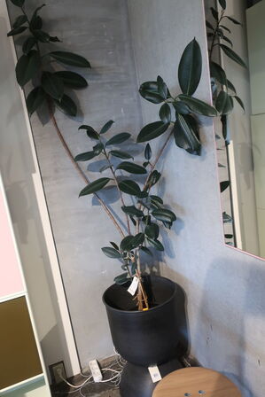 Krukke med blomst FERM LIVING Hourglass 