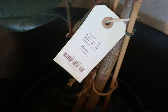 Krukke med blomst FERM LIVING Hourglass 