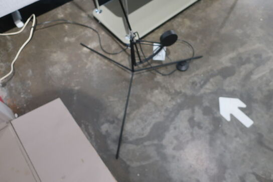 Gulvlampe DCWEDITIONS Mantis BS1