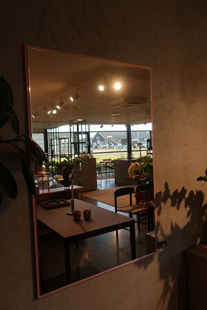 Spejl MONTANA ColourFrame Rectangular 