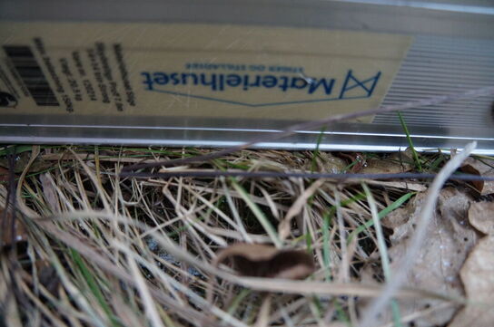 28 trins ALU skydestige